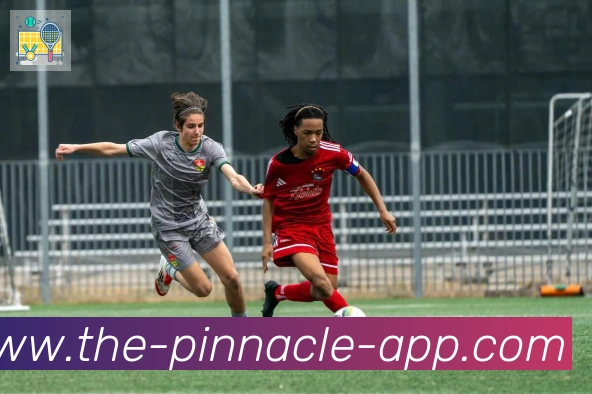 平博pinnacle体育APP 封面图