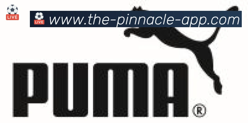 平博pinnacle体育合作伙伴